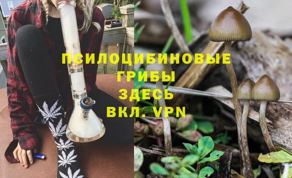 каннабис Волоколамск